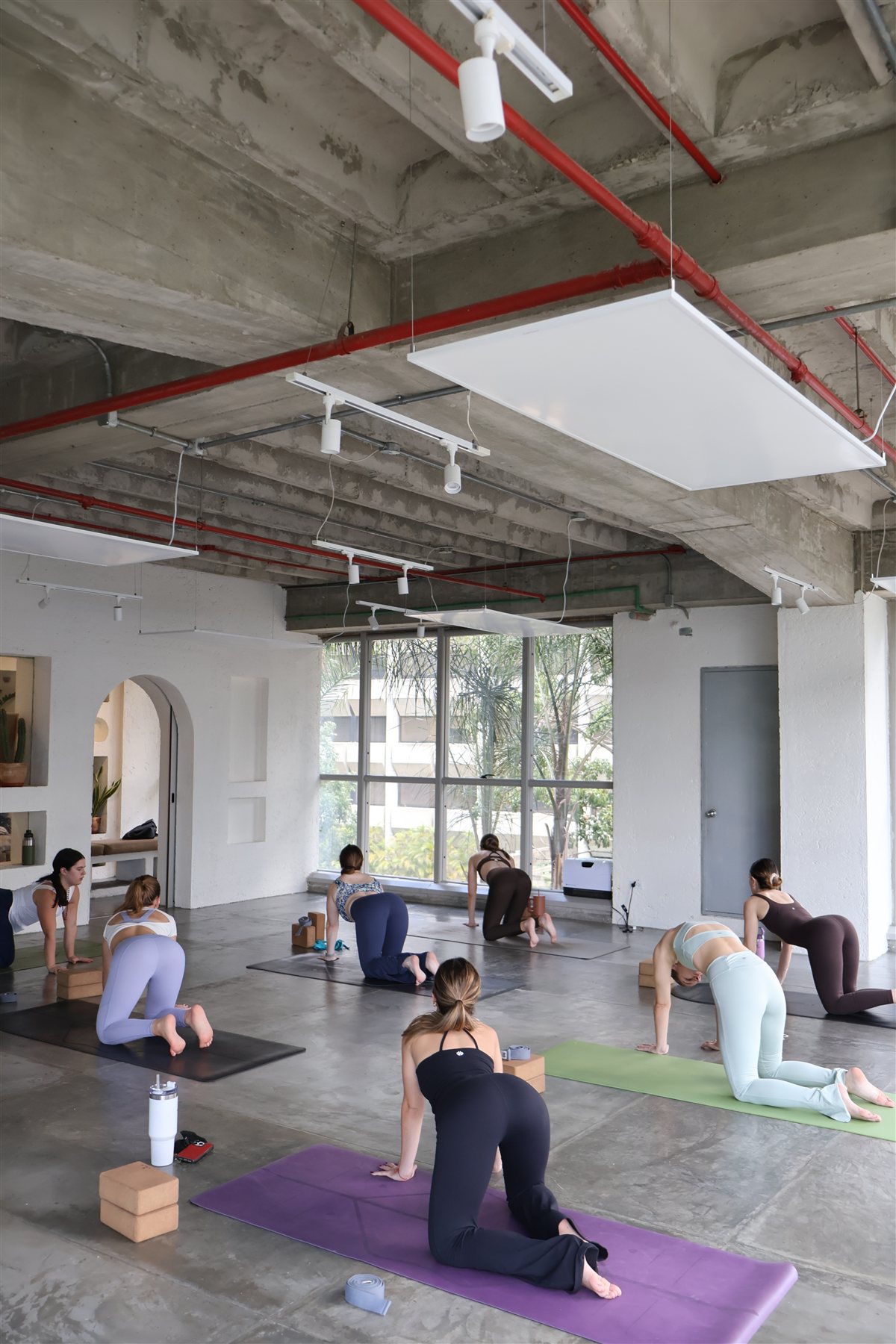 Grupo practicando en la formación Eleva tu Sadhana en Tropical Shala
